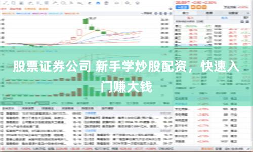 股票证券公司 新手学炒股配资，快速入门赚大钱