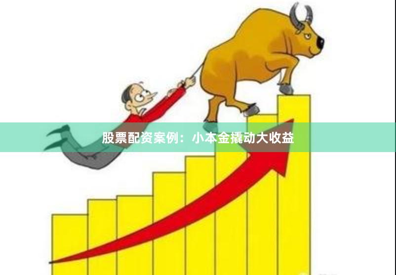 股票配资案例：小本金撬动大收益