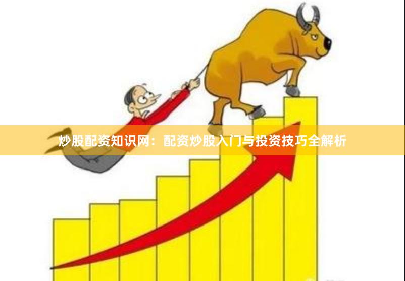 炒股配资知识网：配资炒股入门与投资技巧全解析