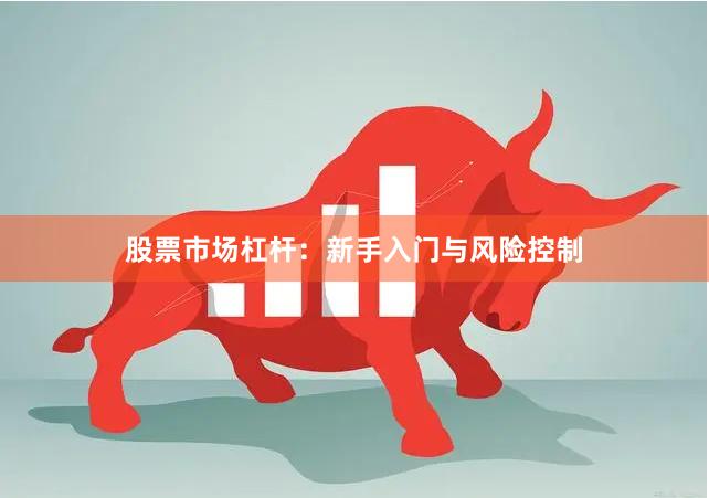 股票市场杠杆：新手入门与风险控制