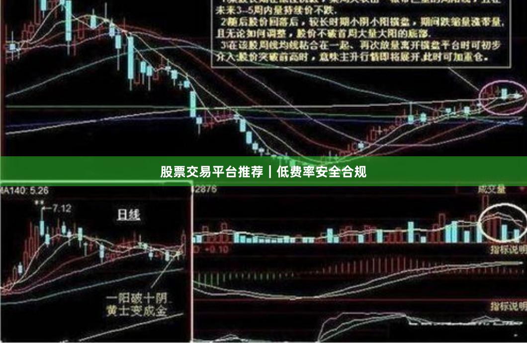 股票交易平台推荐｜低费率安全合规