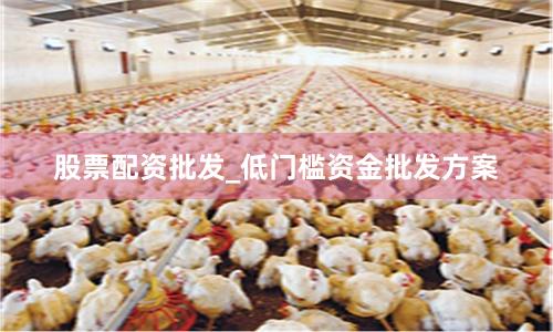 股票配资批发_低门槛资金批发方案